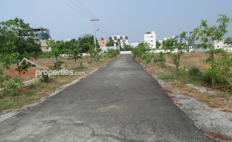 TUDA Approved #GatedCommunity East, West and North Facing Venture #PlotsforSale in Tiruchanur, #Tirupati